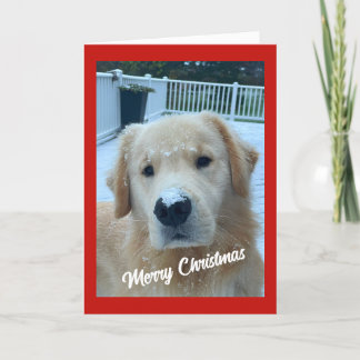Archie Kerstsneeuw #3 Bedankkaart