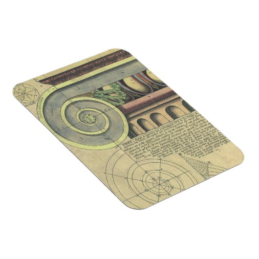 architectuur; Kapitaalvolume van Vignola Magneet (Rechterzijde)