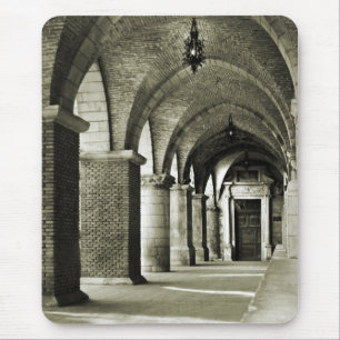  architectuur muismat