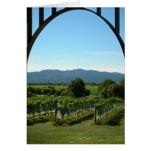 Archivage du vignoble