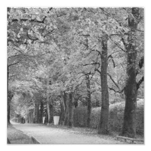 "Archway" fotoprint Foto Afdruk