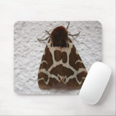 Arctia caja muismat (Met muis)