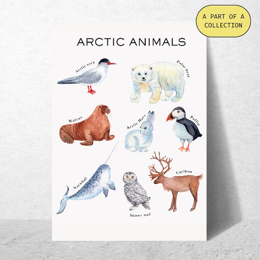 Arctic Animals Educational Poster Perfect Poster