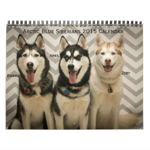 Arctic Blue Siberians 2015 Agenda Kalender