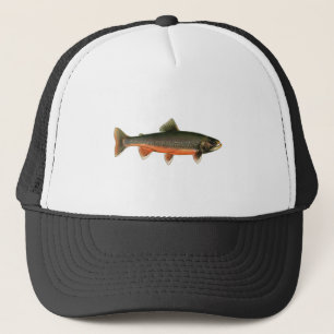 Arctic Char Illustration - Breeding Male Trucker Pet