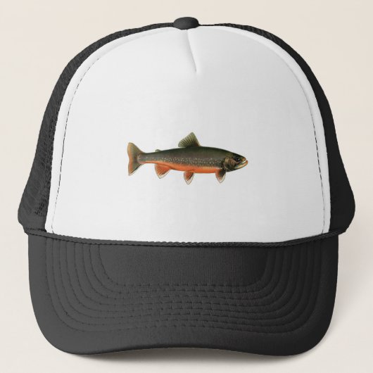 Arctic Char Illustration - Breeding Male Trucker Pet (Voorkant)