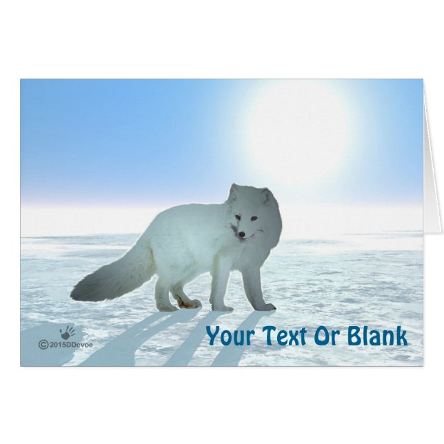 Arctic Fox (Voorkant Horizontaal)