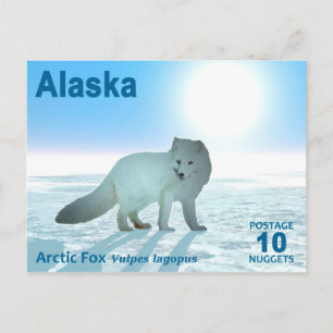 Arctic Fox - Alaska Postage Briefkaart