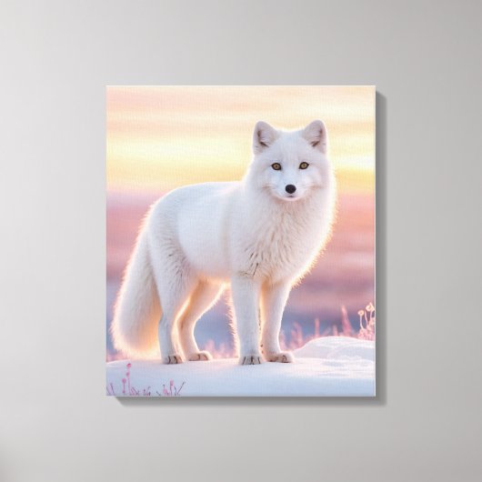 Arctic Fox bij Midnight Sun Canvas Afdruk (Voorkant)