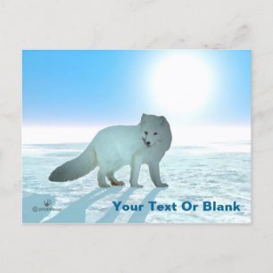 Arctic Fox Briefkaart