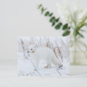 Arctic Fox Briefkaart (Staand voorkant)
