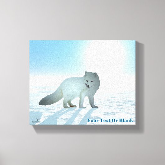 Arctic Fox Canvas Afdruk (Voorkant)