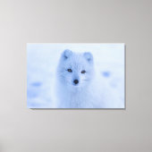Arctic Fox Canvas Afdruk (Voorkant)
