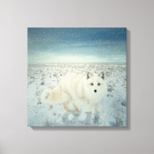 Arctic Fox Canvas Afdruk