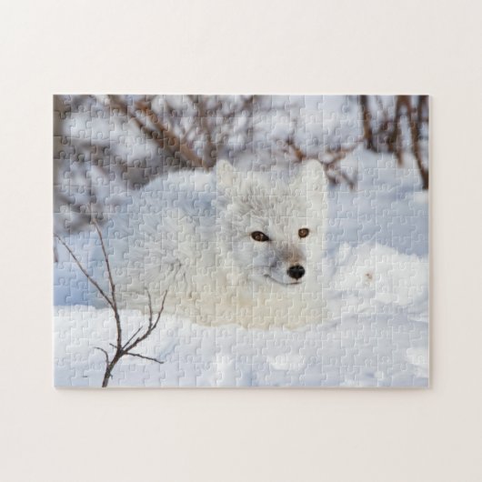Arctic Fox in winter Legpuzzel (Horizontaal)