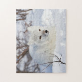 Arctic Fox in winter Legpuzzel (Verticaal)