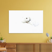 Arctic Fox kromp in de winter Canvas Afdruk (Insitu (Woonkamer))