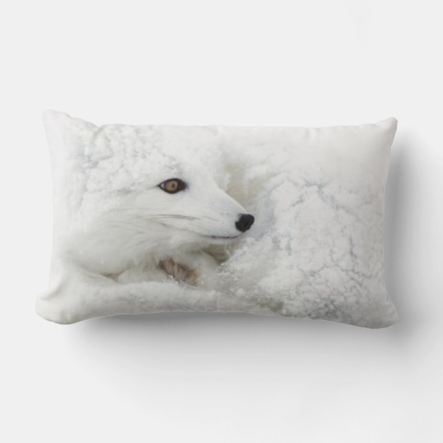 Arctic Fox kromp in de winter Kussen (Voorkant)