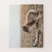 Arctic Fox Legpuzzel (Verticaal)