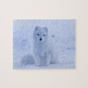 Arctic Fox Legpuzzel
