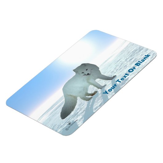 Arctic Fox Magneet (Linkerzijde)