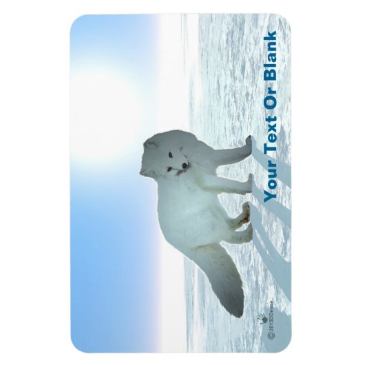 Arctic Fox Magneet (Verticaal)