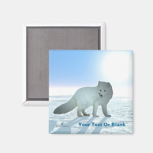 Arctic Fox Magneet (Voorkant / Achterkant)