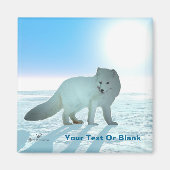 Arctic Fox Magneet (Voorkant)