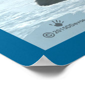 Arctic Fox Poster (Hoek)