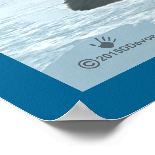 Arctic Fox Poster (Hoek)