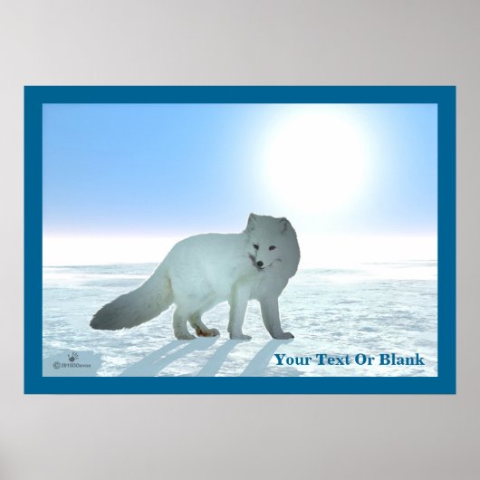 Arctic Fox Poster (Voorkant)