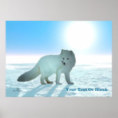 Arctic Fox Poster (Voorkant)