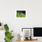 Arctic Fox Poster (Thuiskantoor)