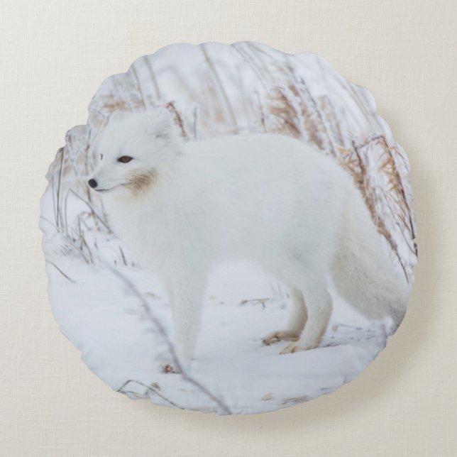 Arctic Fox Rond Kussen (Voorkant)