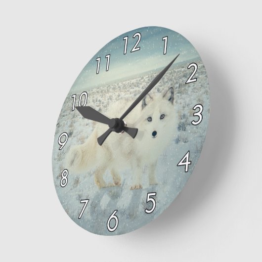 Arctic Fox Ronde Klok (Hoek)