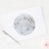 Arctic Fox Ronde Sticker (Envelop)