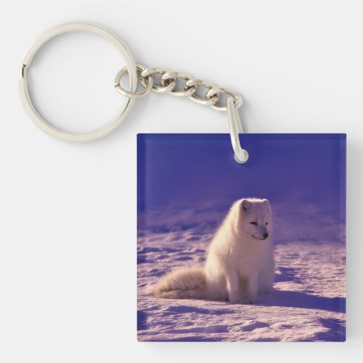 Arctic Fox Sleutelhanger (Voorkant)