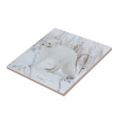 Arctic Fox Tegeltje (Zijkant)