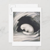 Arctic Fox uit 'Narrative of a Second Reyage in Briefkaart (Voorkant / Achterkant)