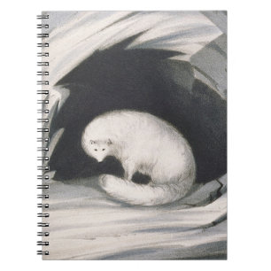 Arctic Fox uit 'Narrative of a Second Reyage in Notitieboek