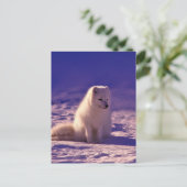 Arctic Fox Winter Snow Landscape Briefkaart (Staand voorkant)