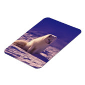 Arctic Fox Winter Snow Landscape Magneet (Linkerzijde)