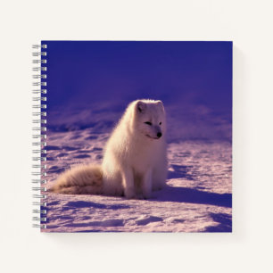 Arctic Fox Winter Snow Landscape Notitieboek