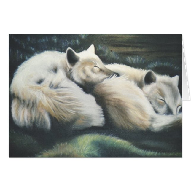 "Arctic Foxes" (Voorkant Horizontaal)