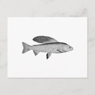 Arctic Grayling Logo (lijnkunst) Briefkaart