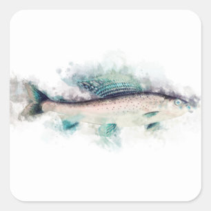 Arctic grayling Waterverf Zalmvissers Kunst Vierkante Sticker