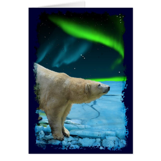 Arctic Polar Beer & Aurora Kunstgeschenken (Voorkant)