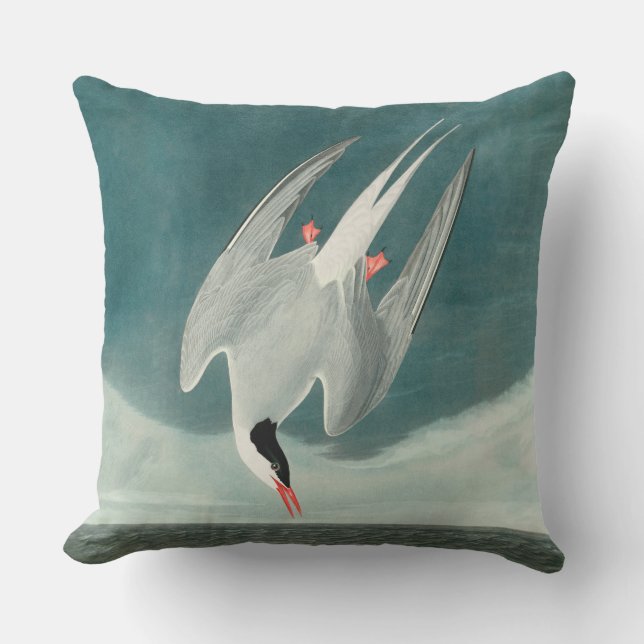 Arctic Tern Audubon Bird Wildlife Painting Buitenkussen (Voorkant)