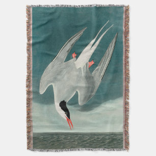 Arctic Tern Audubon Bird Wildlife Painting Deken