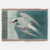Arctic Tern Audubon Bird Wildlife Painting Deken (Voorkant)
